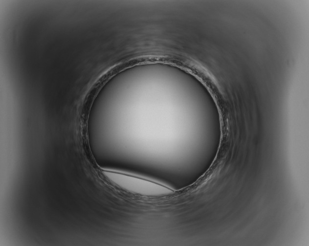 X0000099491352200805150919