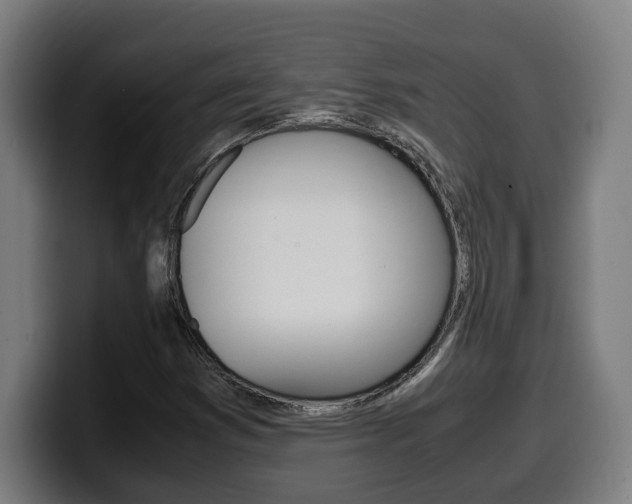 X0000099491353200805150919