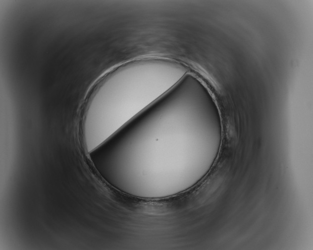 X0000099491356200805150919
