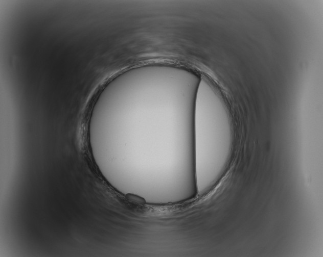 X0000099491357200805150919