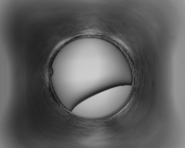 X0000099491358200805150919