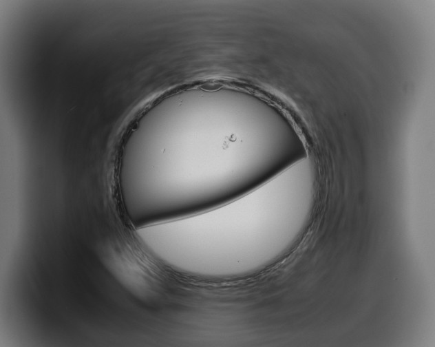 X0000099491359200805150919