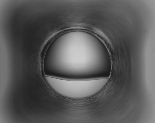 X0000099491360200805150919