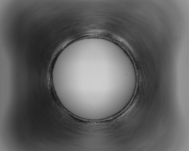 X0000099491362200805150919