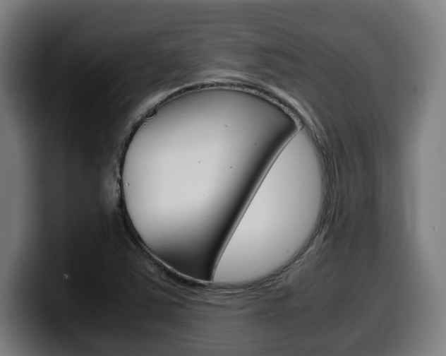 X0000099491363200805150919