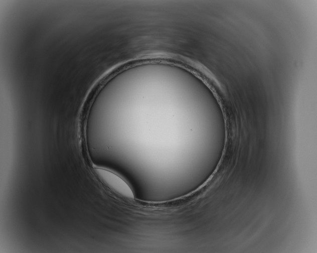 X0000099491364200805150919