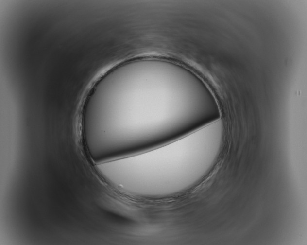 X0000099491367200805150919
