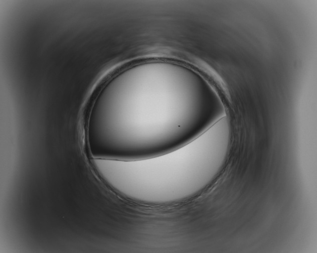 X0000099491368200805150919