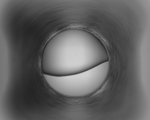 X0000099491369200805150919