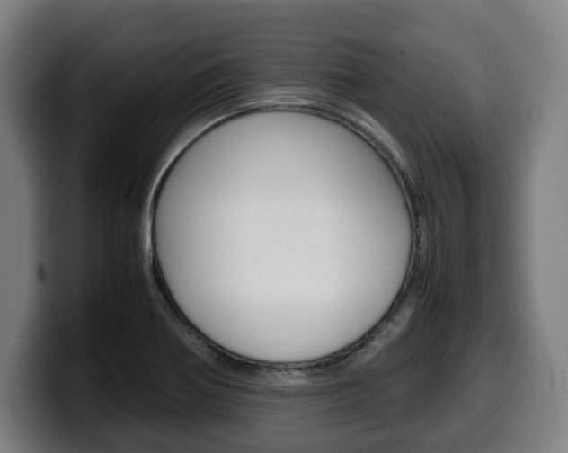 X0000099491370200805150919