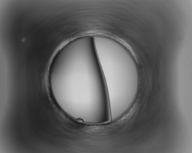 X0000099491373200805150919