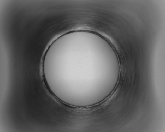 X0000099491374200805150919