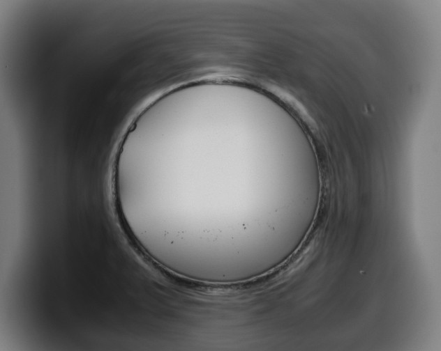 X0000099491375200805150919