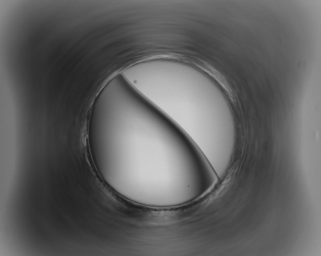 X0000099491377200805150919