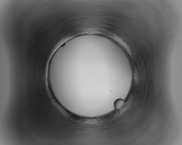 X0000099491378200805150919