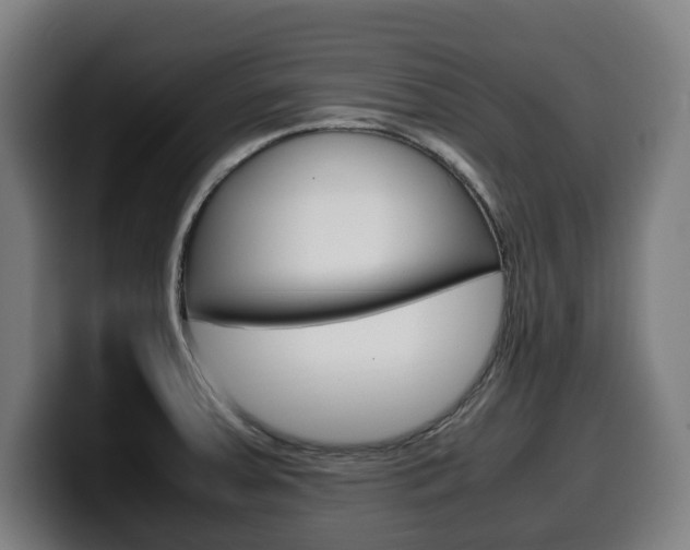 X0000099491379200805150919