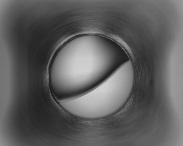 X0000099491380200805150919