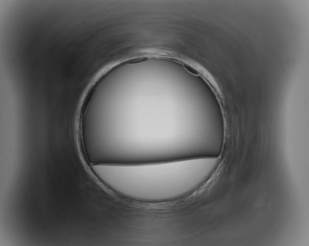 X0000099491381200805150919