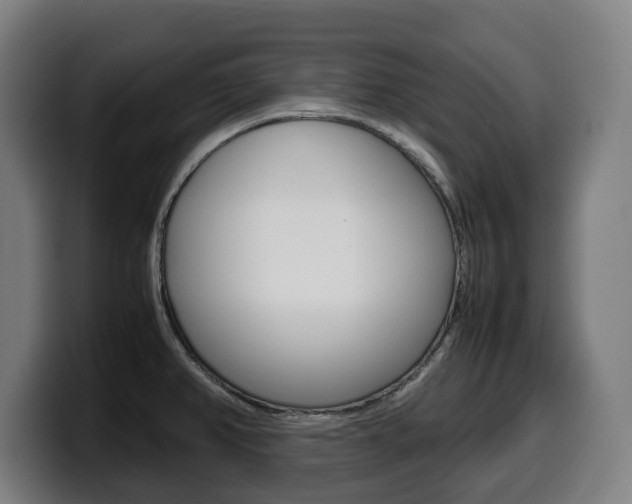 X0000099491382200805150919