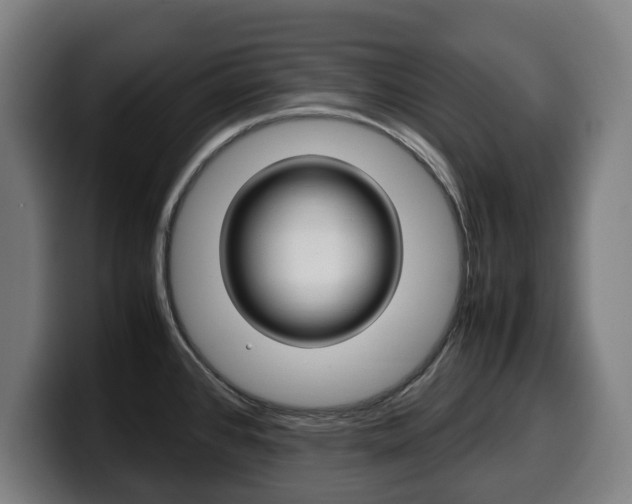 X0000099491384200805150919
