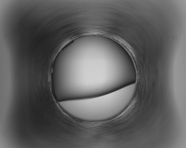 X0000099491385200805150919