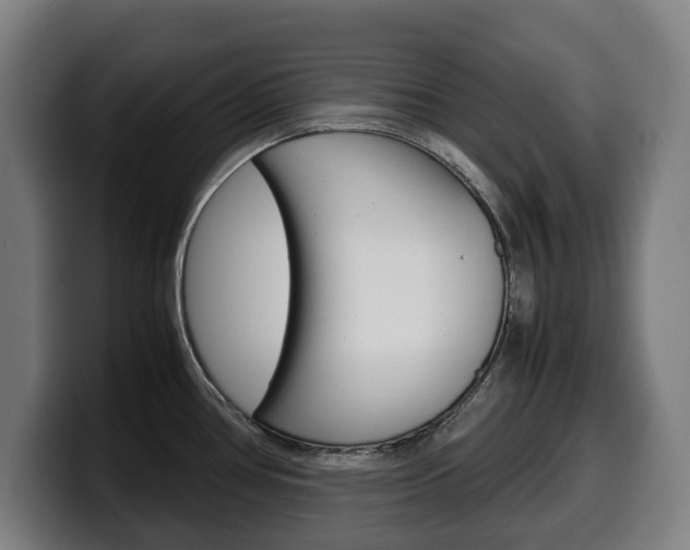 X0000099491386200805150919