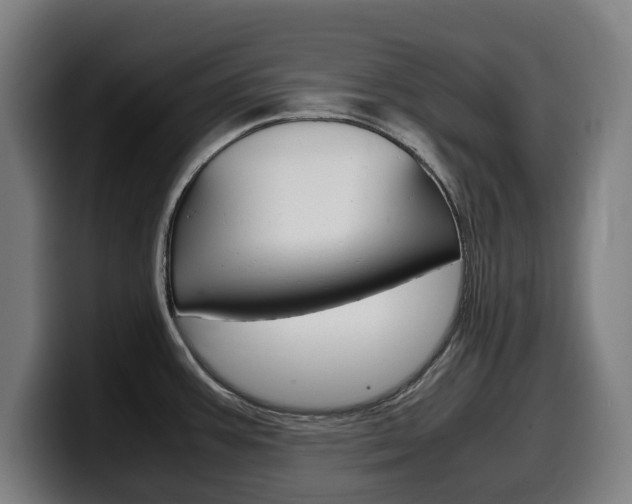 X0000099491387200805150919