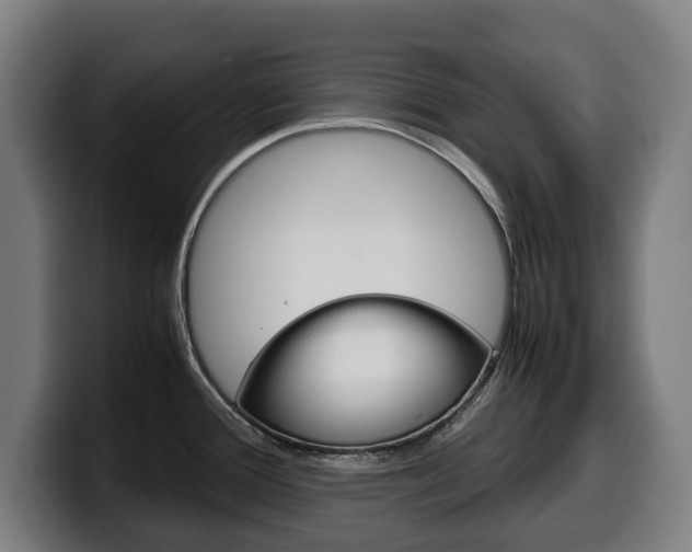 X0000099491388200805150919