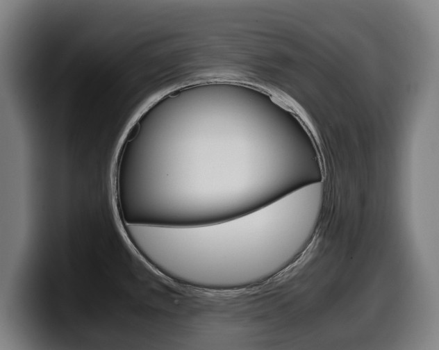 X0000099491389200805150919