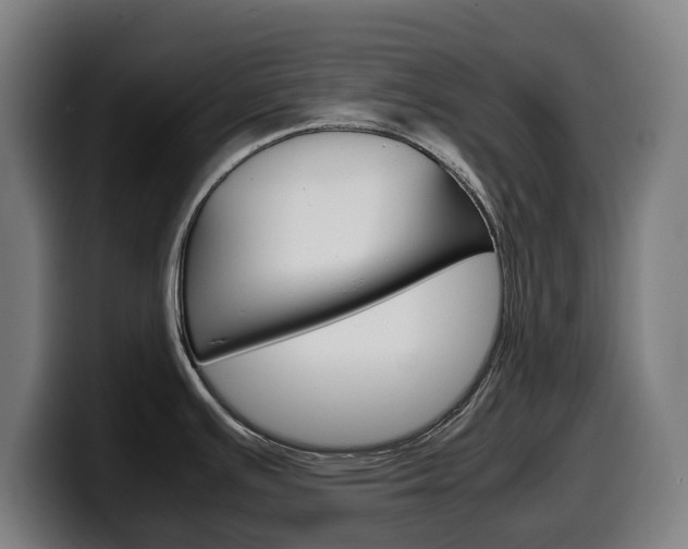 X0000099491391200805150919