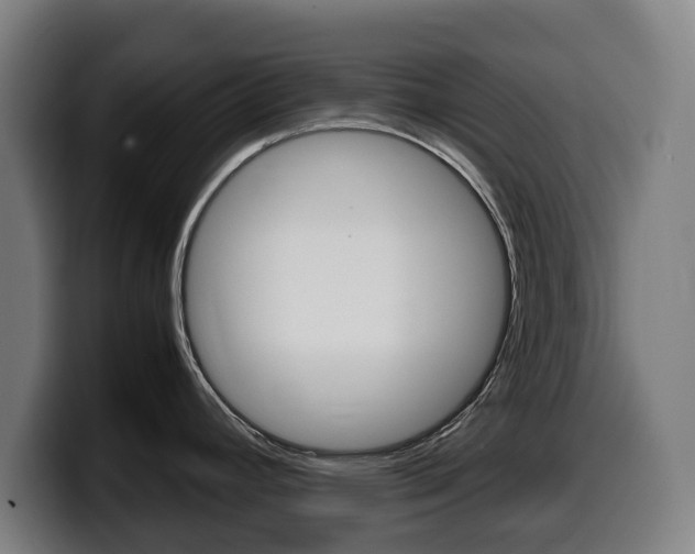 X0000099491392200805150919