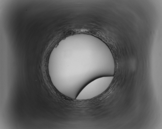 X0000099491393200805150918