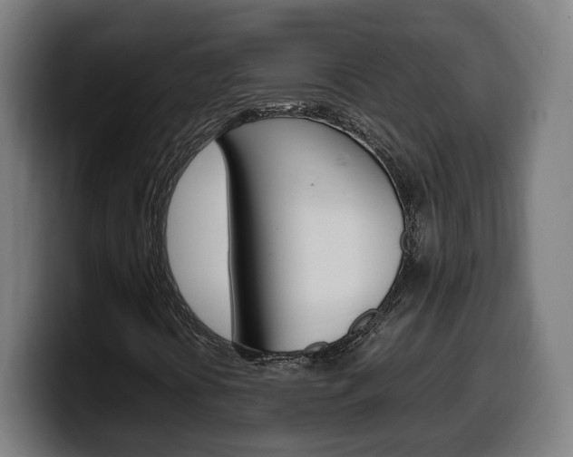 X0000099491394200805150918
