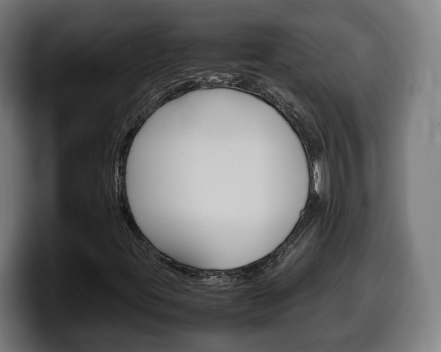 X0000099491395200805150918
