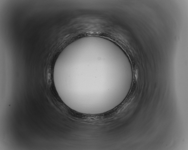 X0000099491396200805150918
