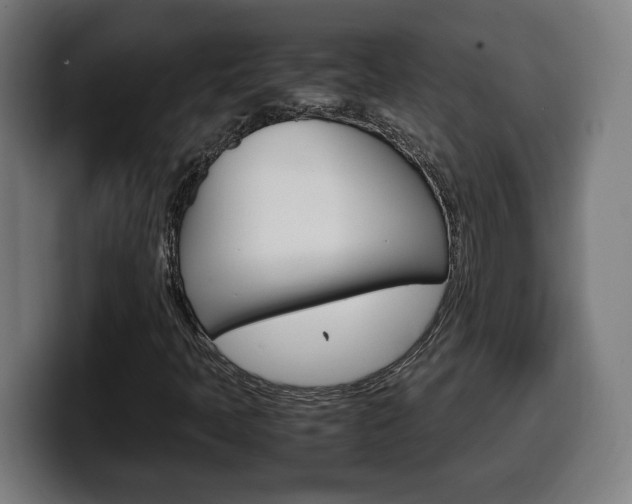 X0000099491397200805150918