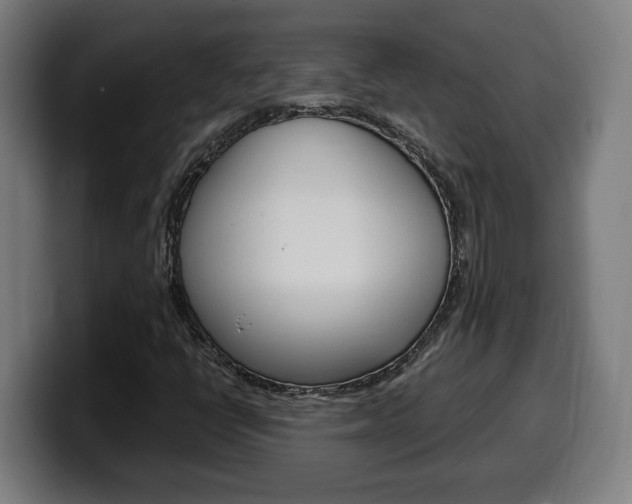 X0000099491398200805150918