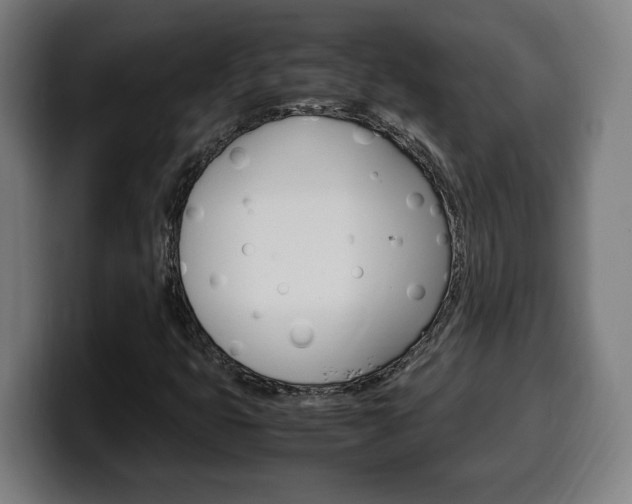 X0000099491399200805150918