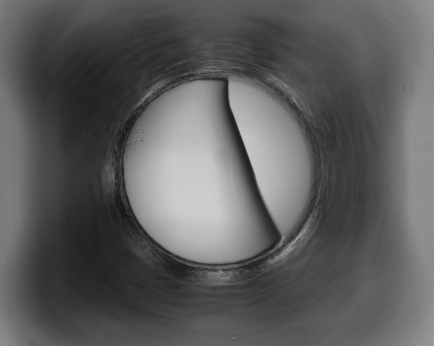 X0000099491401200805150918