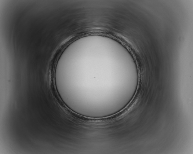 X0000099491402200805150918