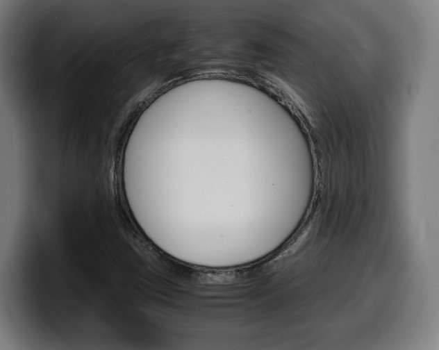 X0000099491403200805150918