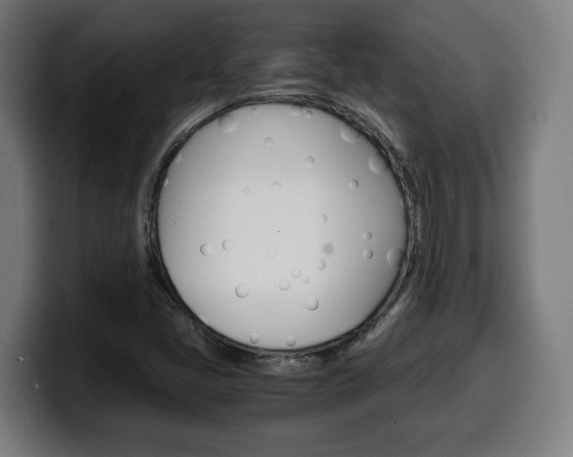 X0000099491405200805150918