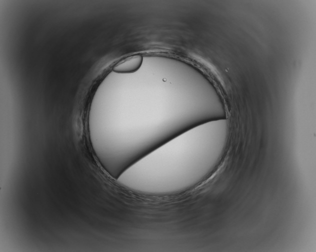 X0000099491407200805150918