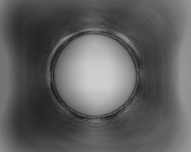 X0000099491408200805150918