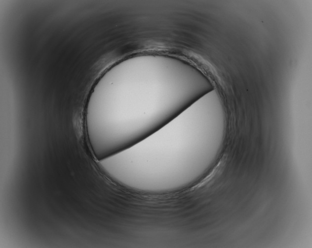 X0000099491409200805150918