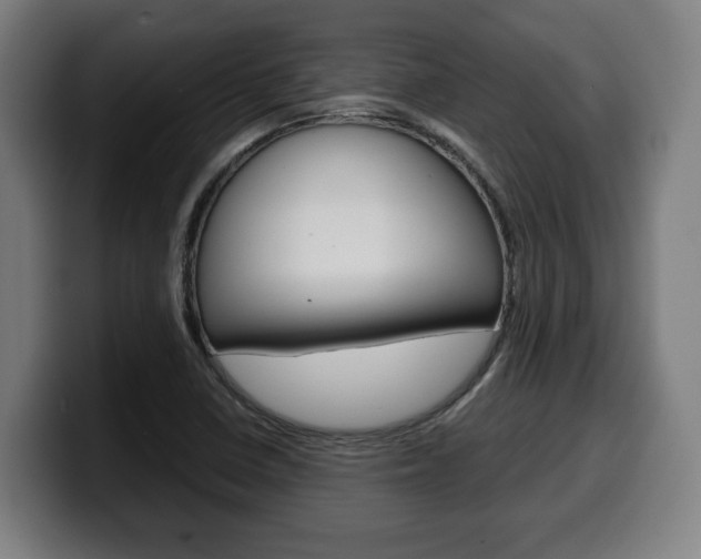 X0000099491410200805150918