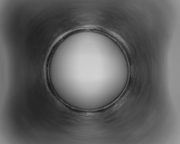 X0000099491412200805150918