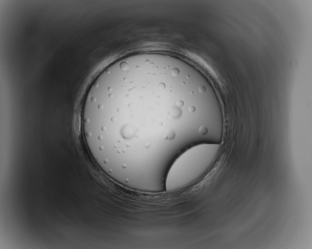 X0000099491413200805150918