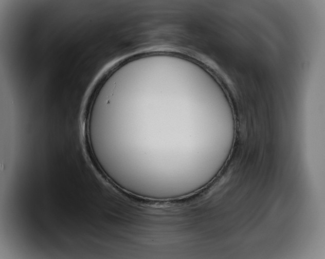 X0000099491416200805150918