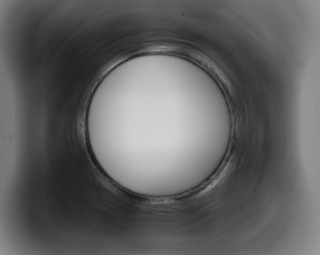 X0000099491417200805150918